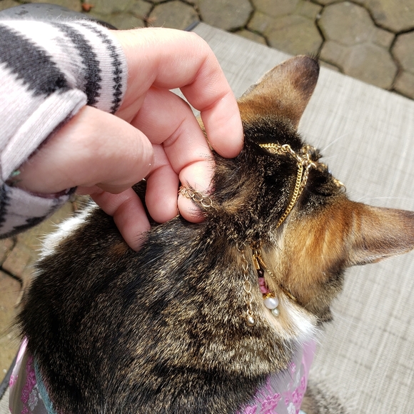 SOLD!! But Commission Me to Make You One!!! - Picture 13 of 17